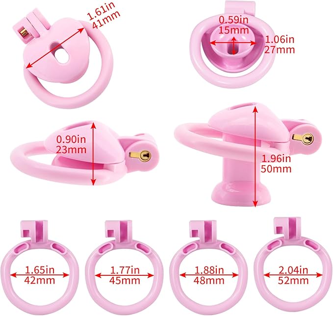 Inverted Chastity Cage with Invisible Lock Sex Toys Cock Cage with 4 Different Sized Rings Sissy Chastity Devices Chasity Cage for Man Penis Bondage Negative Chastity Cage
