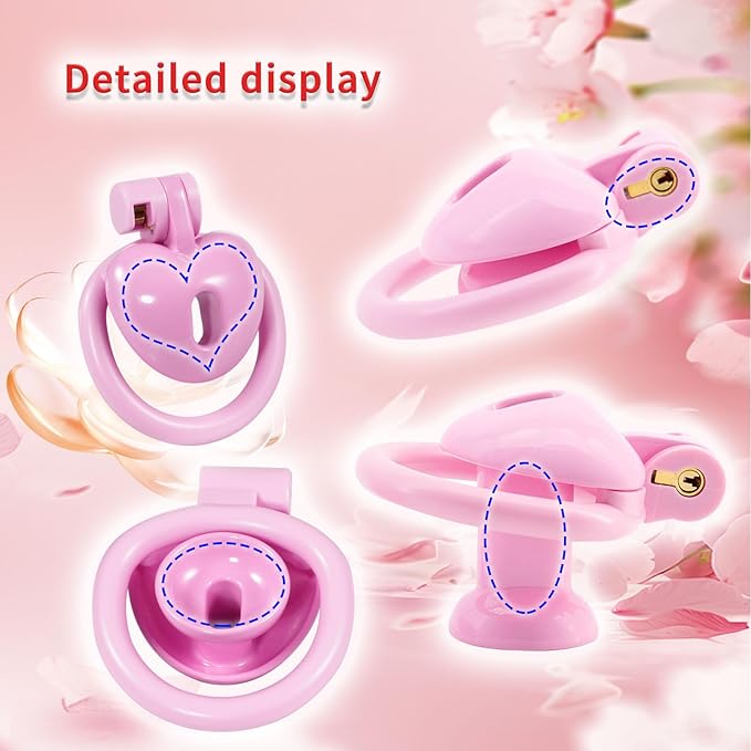 Inverted Chastity Cage with Invisible Lock Sex Toys Cock Cage with 4 Different Sized Rings Sissy Chastity Devices Chasity Cage for Man Penis Bondage Negative Chastity Cage