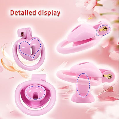 Inverted Chastity Cage with Invisible Lock Sex Toys Cock Cage with 4 Different Sized Rings Sissy Chastity Devices Chasity Cage for Man Penis Bondage Negative Chastity Cage