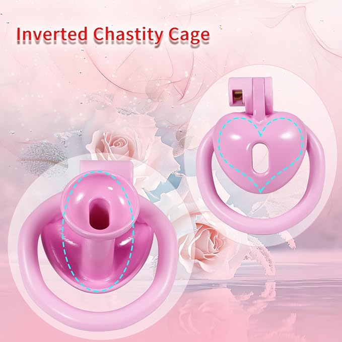 Inverted Chastity Cage with Invisible Lock Sex Toys Cock Cage with 4 Different Sized Rings Sissy Chastity Devices Chasity Cage for Man Penis Bondage Negative Chastity Cage