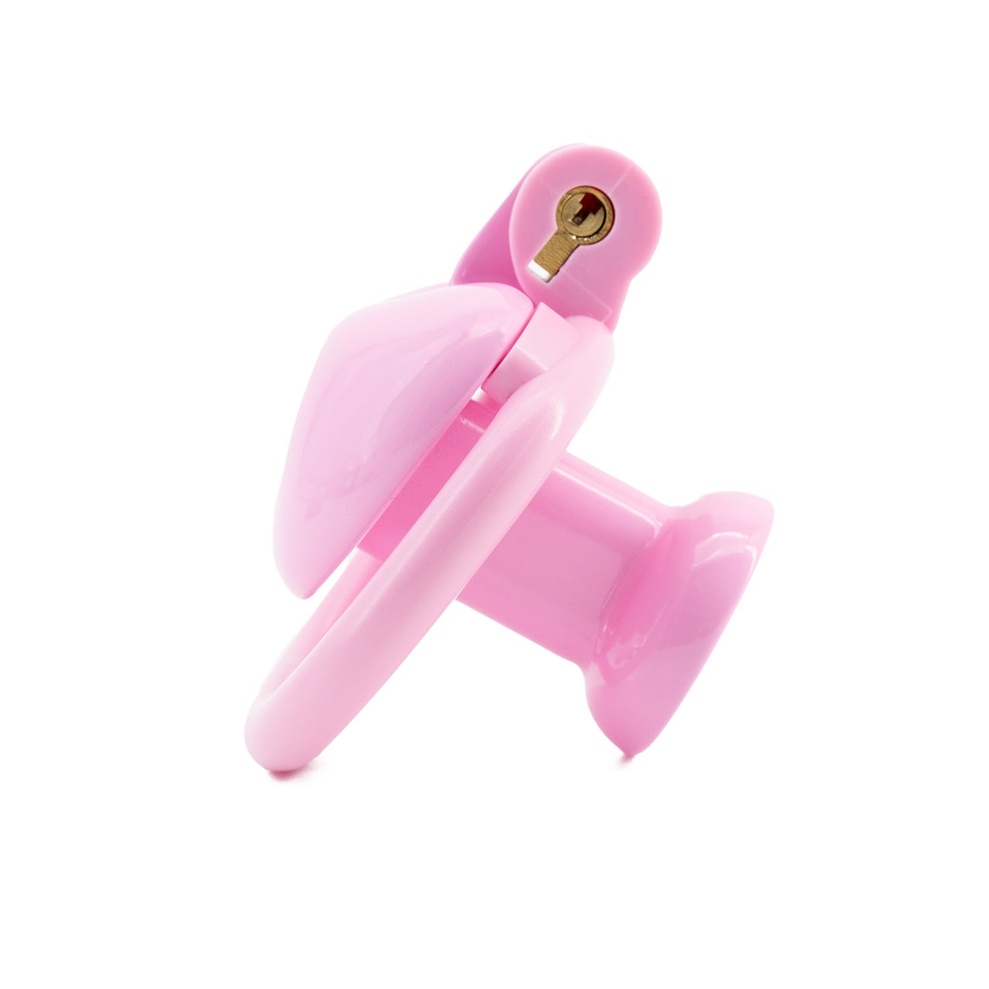 Inverted Chastity Cage with Invisible Lock Sex Toys Cock Cage with 4 Different Sized Rings Sissy Chastity Devices Chasity Cage for Man Penis Bondage Negative Chastity Cage