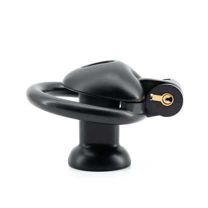 Inverted Chastity Cage with Invisible Lock Sex Toys Cock Cage with 4 Different Sized Rings Sissy Chastity Devices Chasity Cage for Man Penis Bondage Negative Chastity Cage
