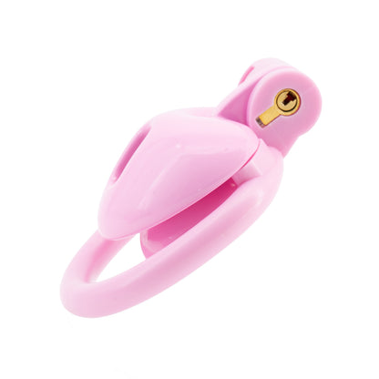 Inverted Chastity Cage with Invisible Lock Sex Toys Cock Cage with 4 Different Sized Rings Sissy Chastity Devices Chasity Cage for Man Penis Bondage Negative Chastity Cage